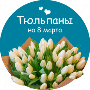 Купить тюльпаны в Приволжске